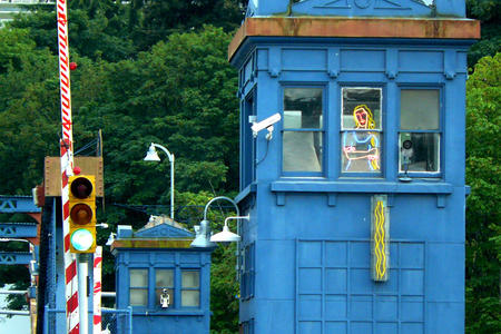 fremont bridge rapunzel