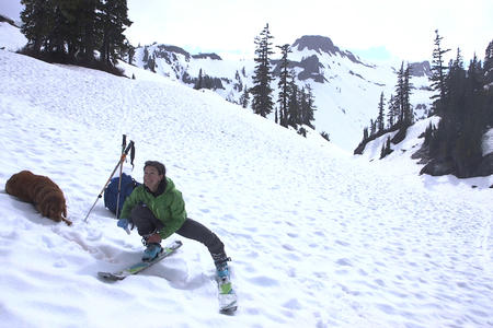 Robin collects a snow sample