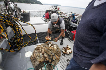 Mitch Zackuse and geoducks