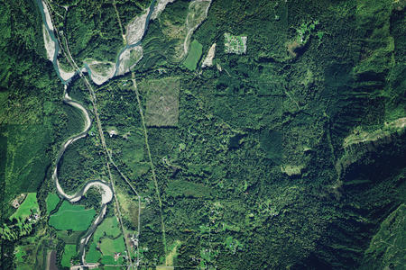 Aerial view of trees covering the Devil's Slide