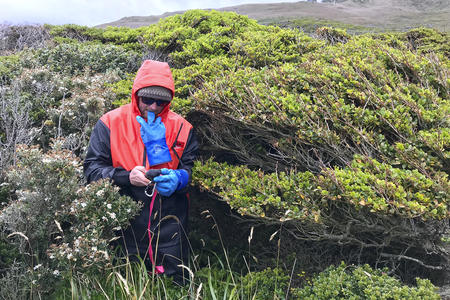 A man in a red raincoat stands near green bushes