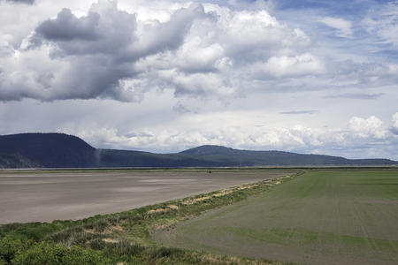 farmland