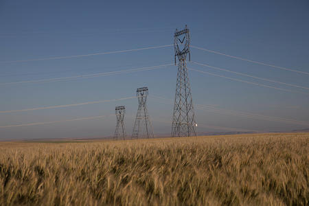 Rural Washington