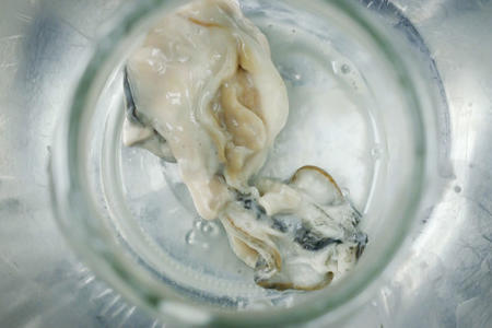 microplastics-rough-edit-V4.00_00_19_00.Still002-1_tr9xee