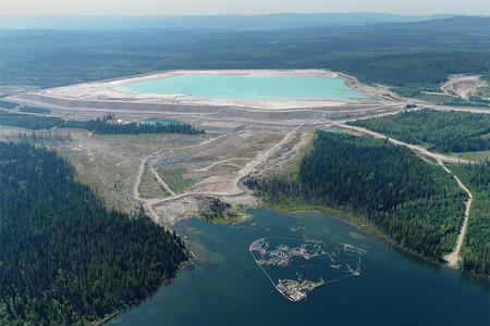 A lake and forest pictured from above.