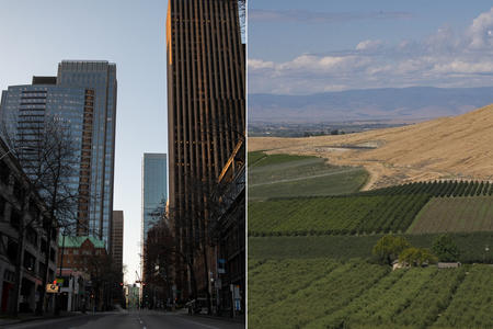 Split-screen with skyline and a landscape