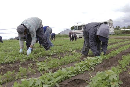 resized_-_skagitworkers5
