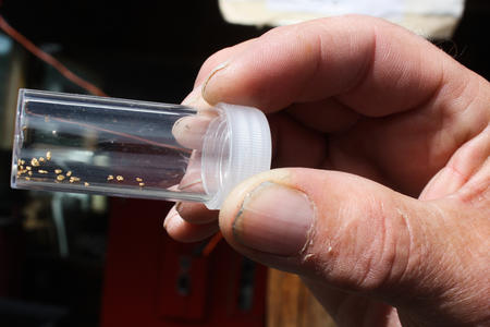 a contain of small gold pieces