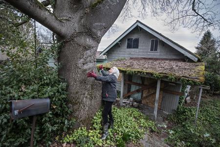 woman looking at a tree