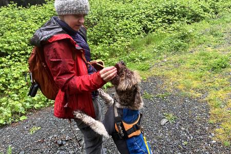 truffle dog and owner