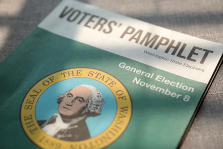 Voter Guide