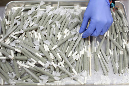 marijuana cigarettes in a pile