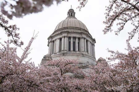 A picture of the Capitol dome in Olympia.