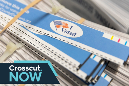 Voter Turnout
