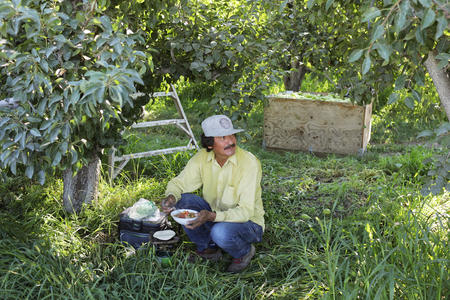 A man sits in shaded grass