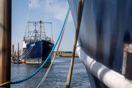 McAdam’s Fish’s boats in the Westport Marina