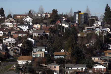 lots of houses on a forested hillside in seattle