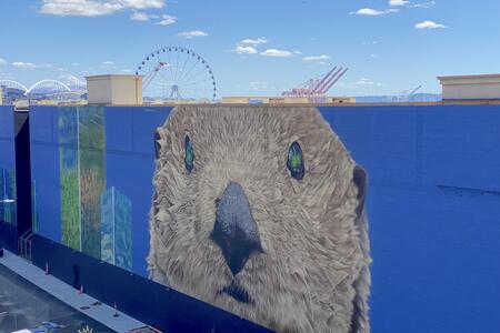 large mural of an otter on a bright blue background with sky above